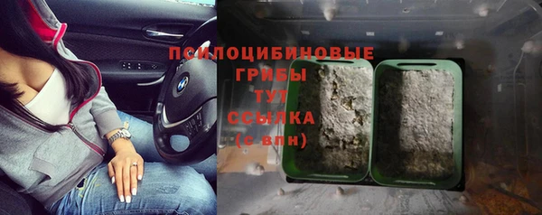крисы Абинск