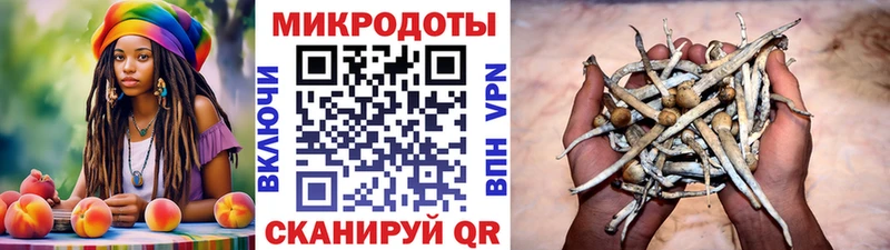 Псилоцибиновые грибы Magic Shrooms  Ростов-на-Дону 